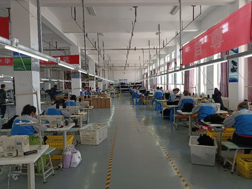高質量發展調研行丨中歐班列賦能產業升級 重慶輕紡產品暢銷全球，軟件開發迎來新機遇